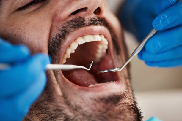 Professional Dental Services in Hobart, WI